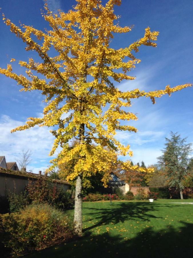 Les Couleurs Du Verger Beaumont-les-Autels Exterior photo